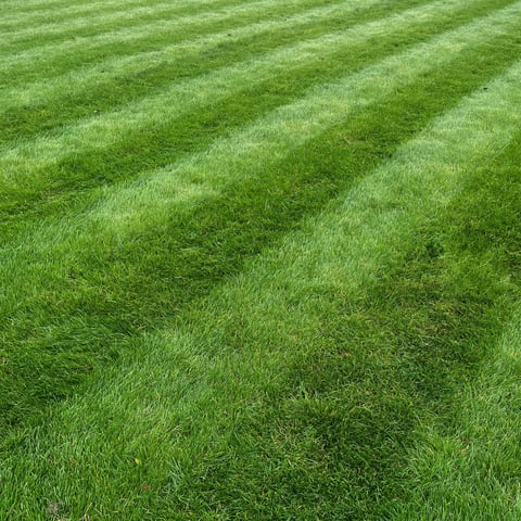 Professional lawn mowing with striped finish