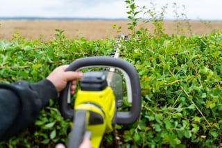 Using hedge trimmer machine