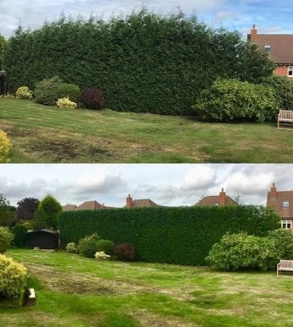 Before and after comparison of a residential garden with large overgrown hedge trimmed and maintained